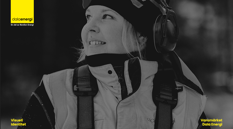 Dala Energi - Visuell identitet