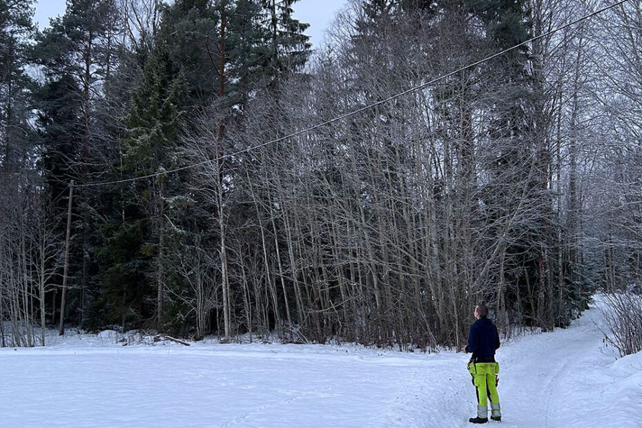 Drönarbesiktning i Dalarna